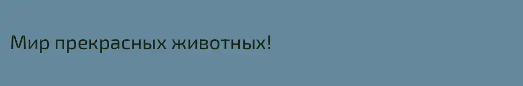 Мир прекрасных животных!